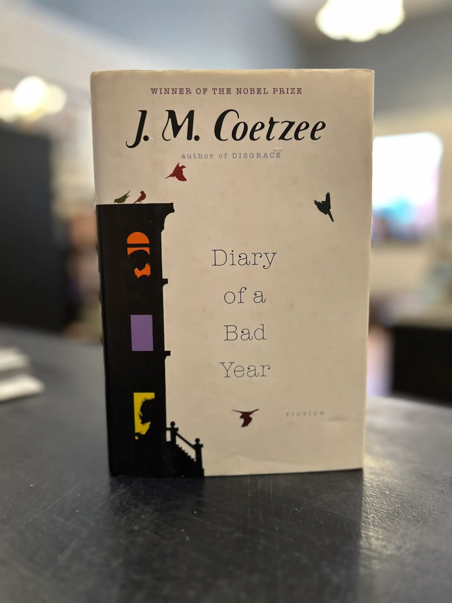 Diary of a Bad Year - J.M. Coetzee