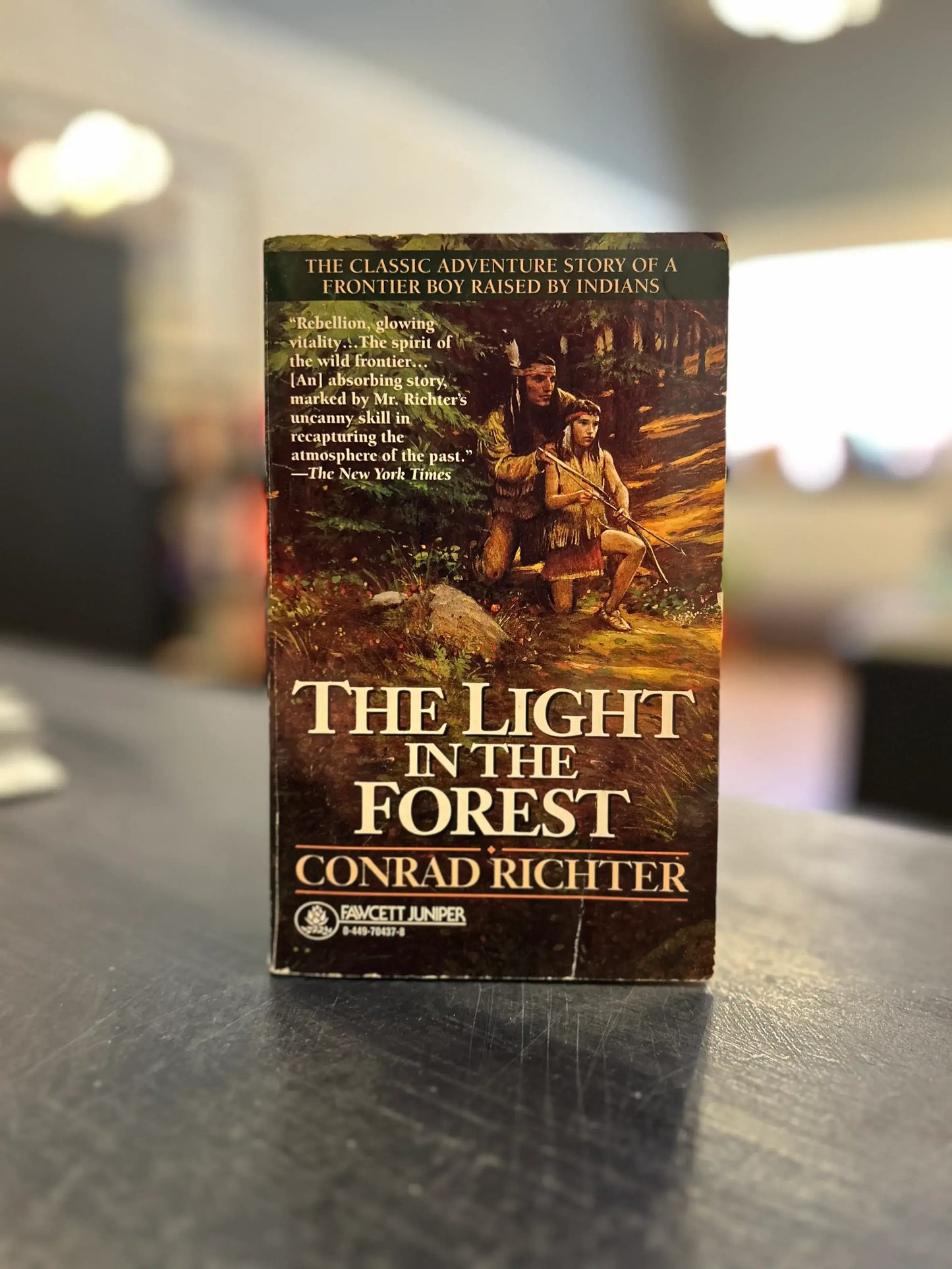 The Light in the Forest - Conrad Richter