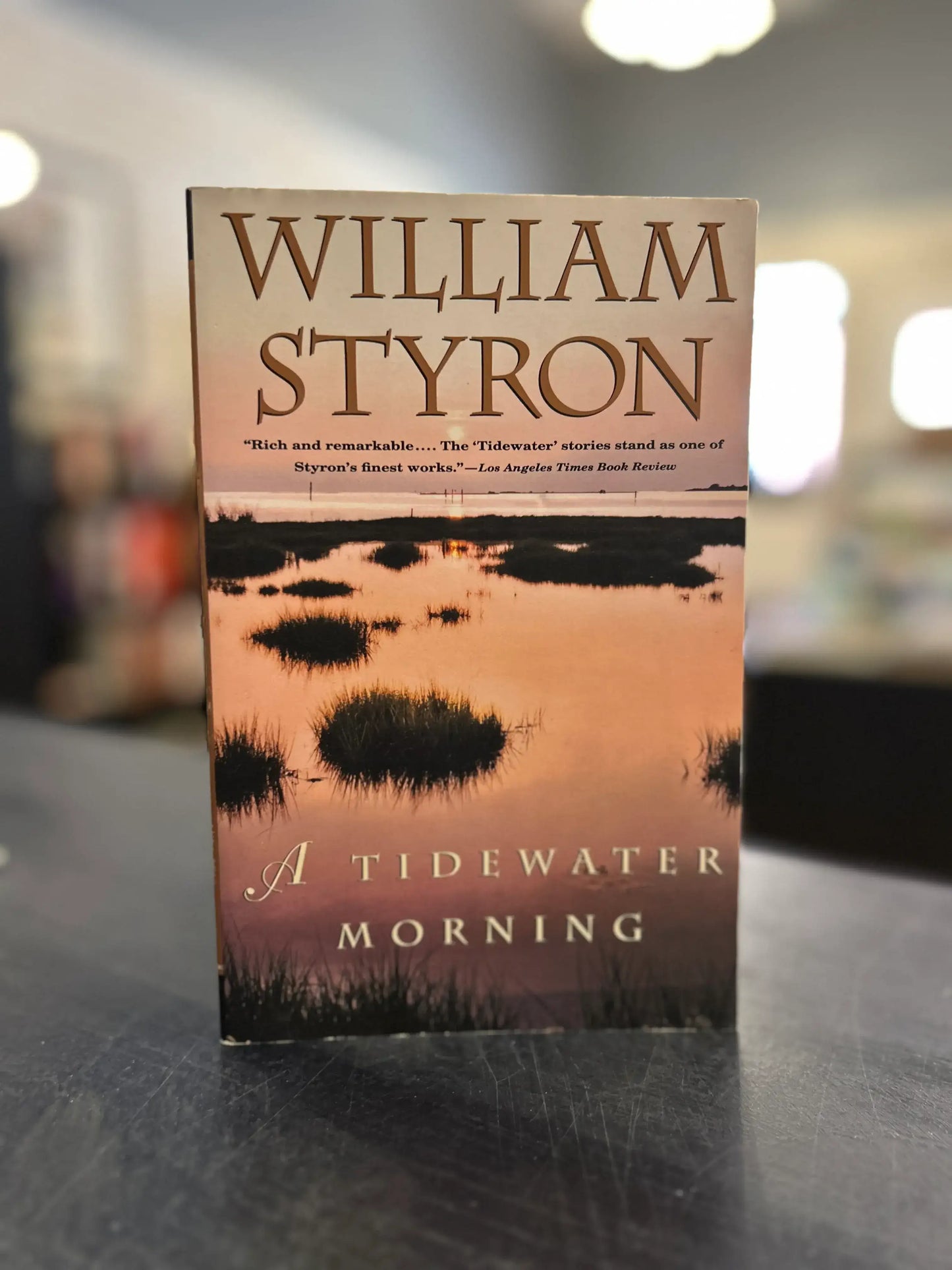 A Tidewater Morning - William Styron