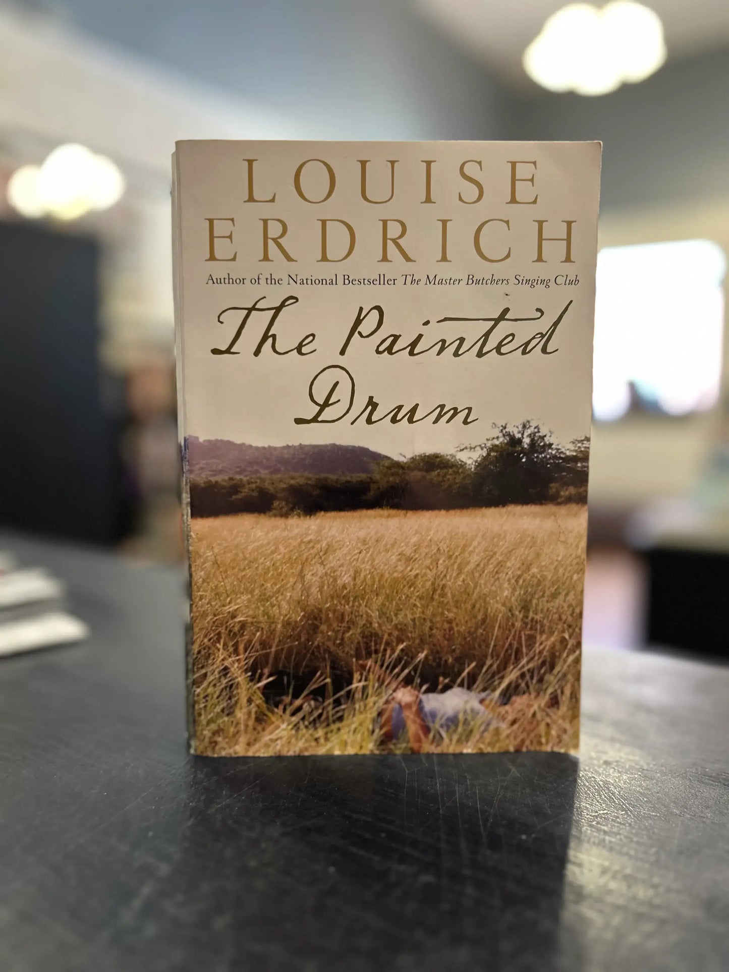 The Painted Drum - Louise Erdrich