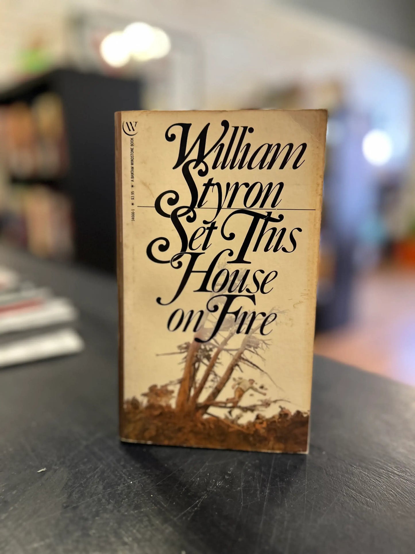 Set This House on Fire - William Styron