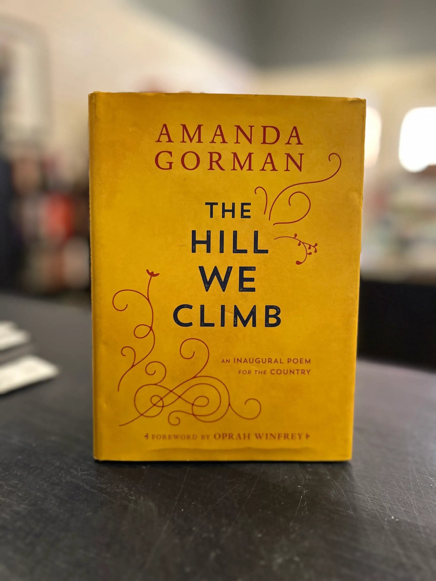 The Hill We Climb - Amanda Gorman
