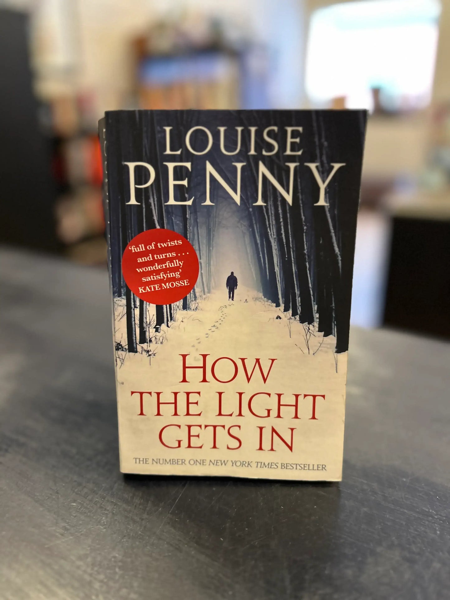 How the Light Gets In - Louise Penny