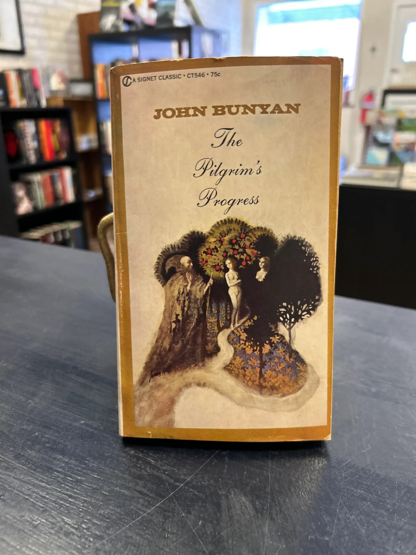 The Pilgrim’s Progress - John Bunyon (Copy)