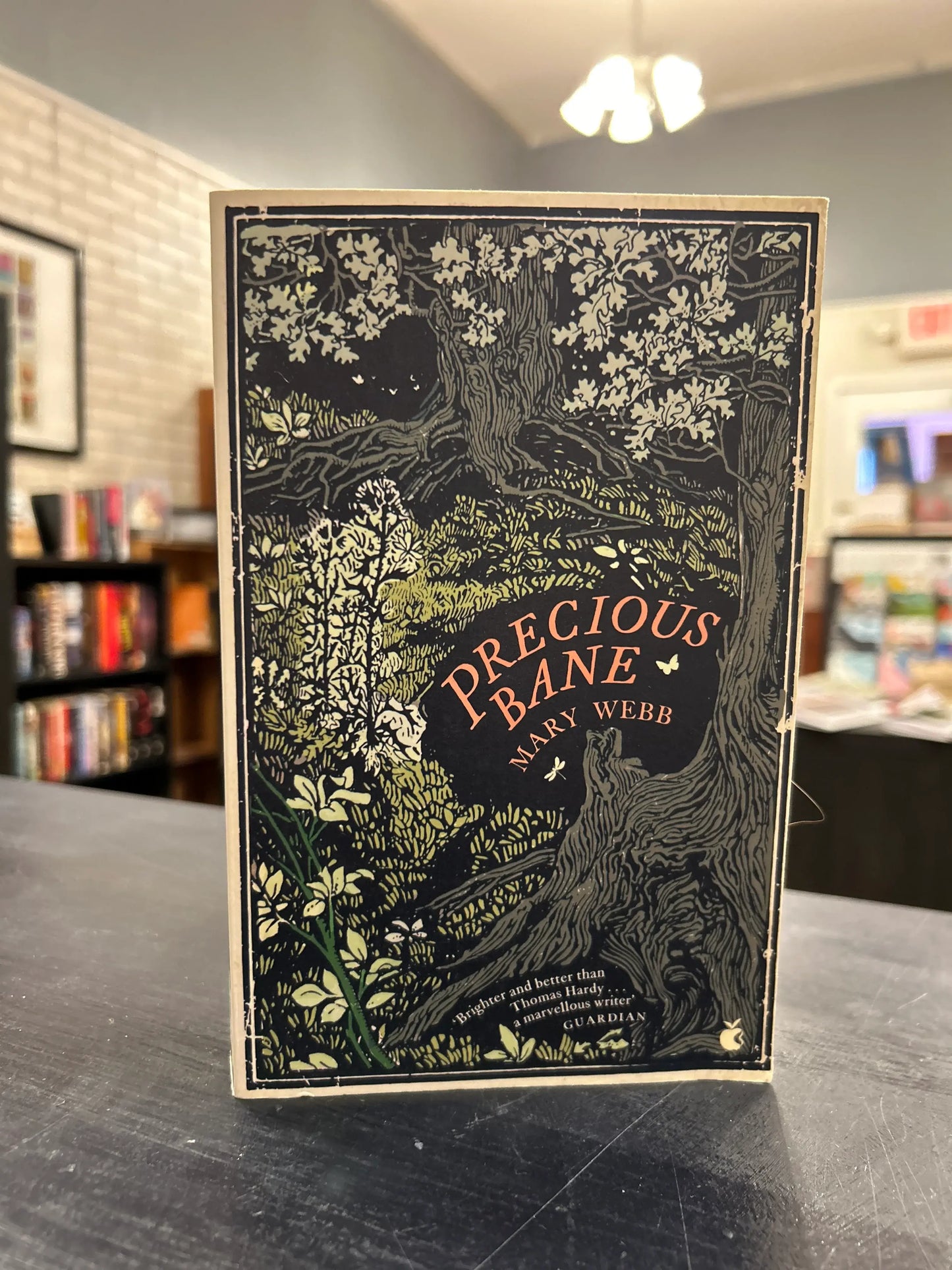 Precious Bane - Mary Webb