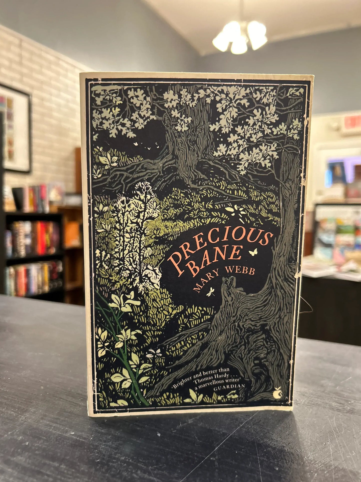 Precious Bane - Mary Webb