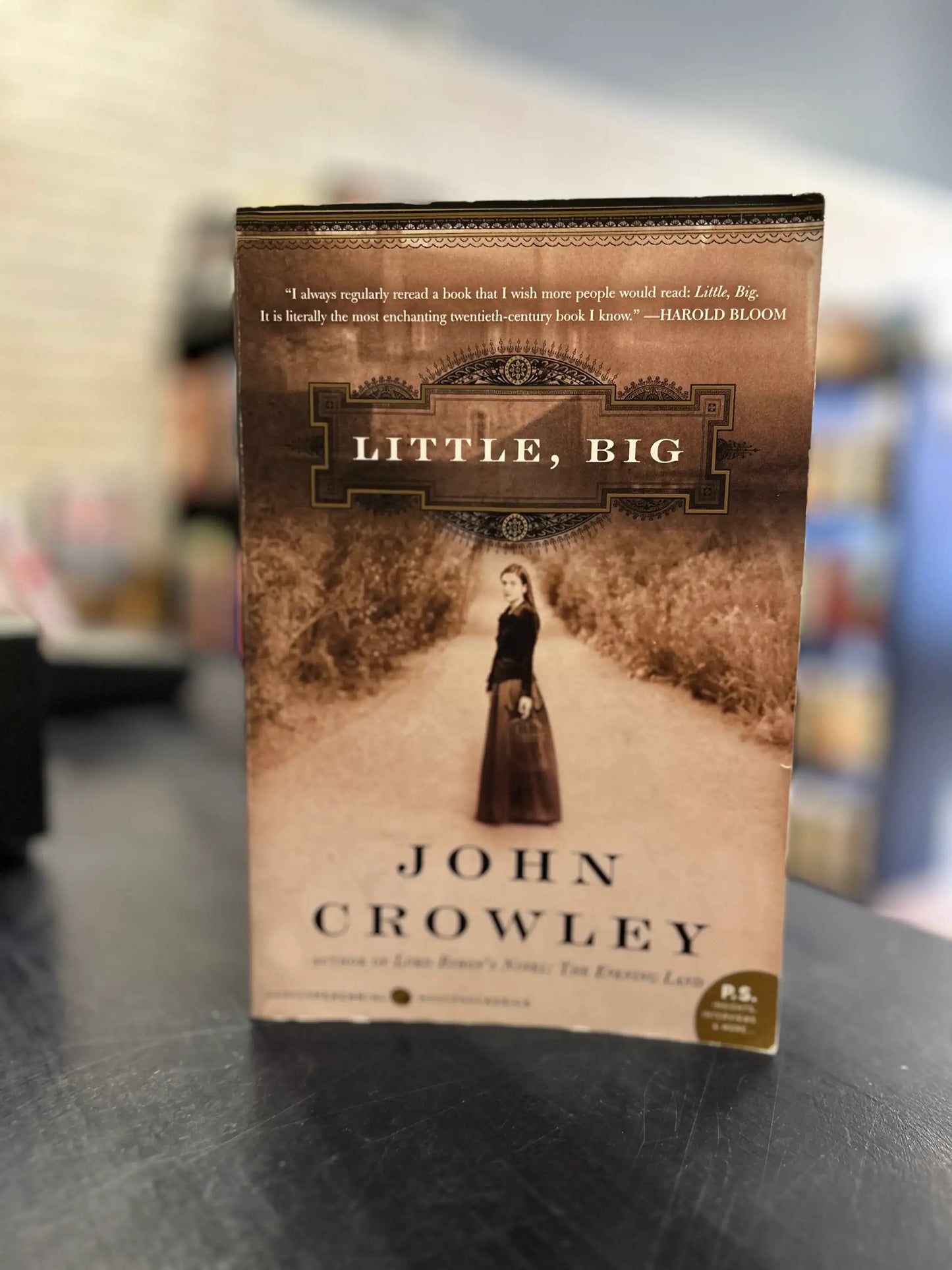 Little, Big - John Crowley