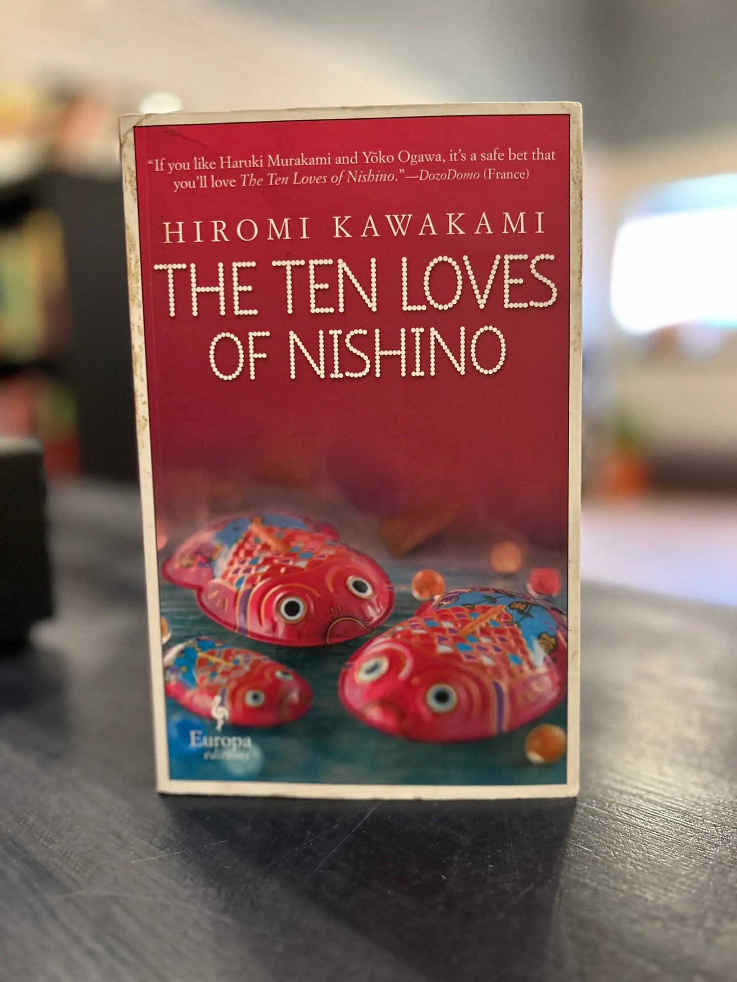 The Ten Loves of Nishino - Hiromi Kawakami