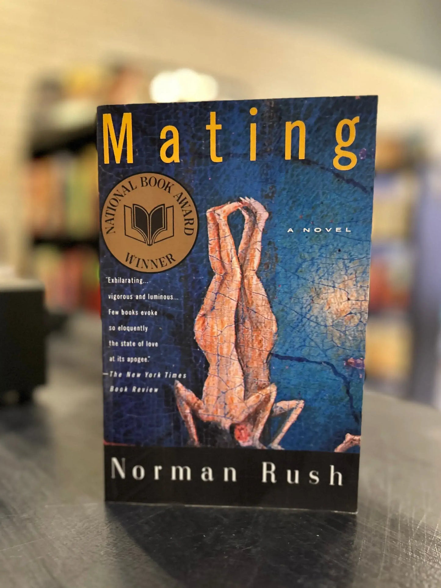 Mating - Norman Rush