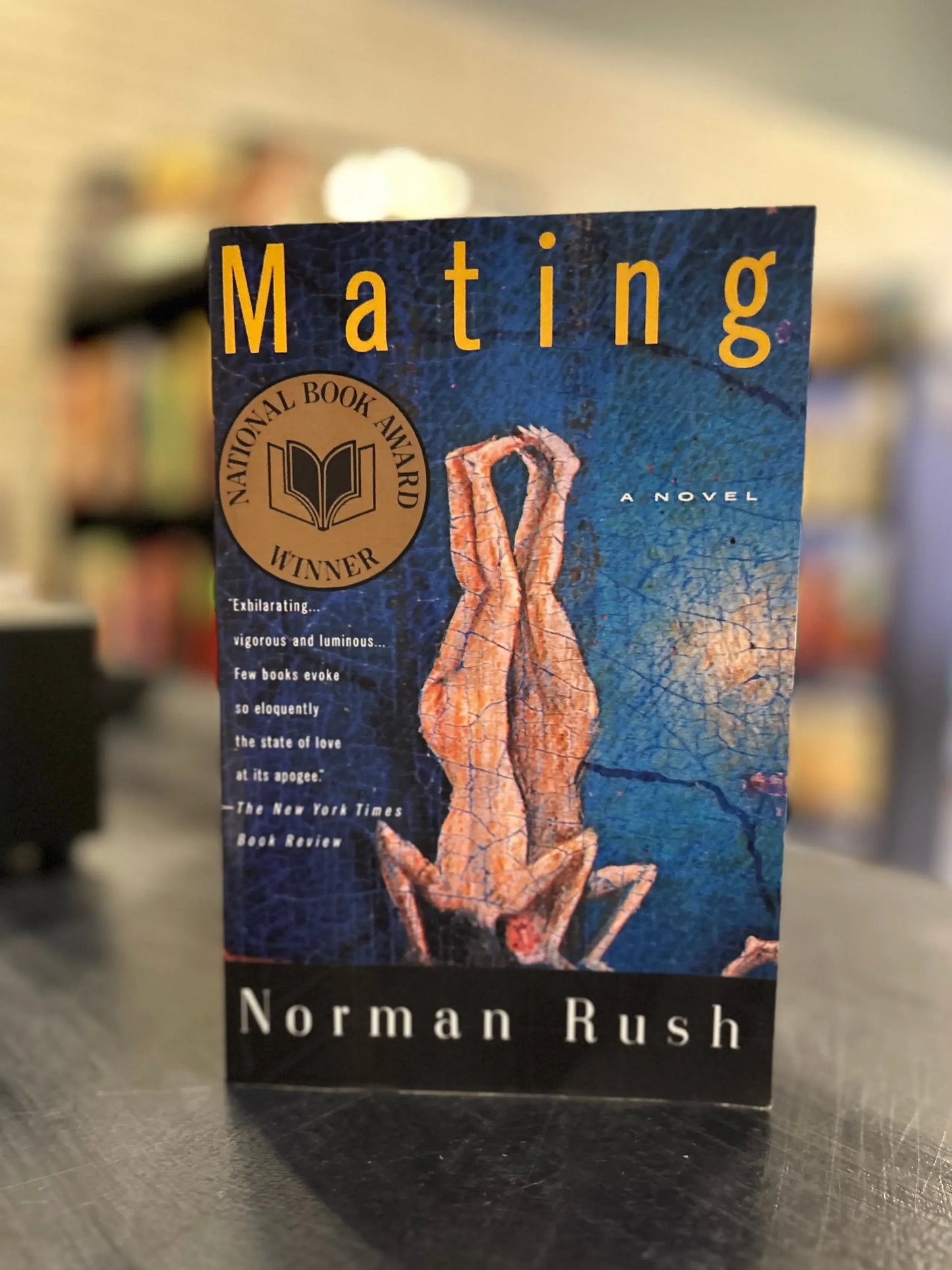 Mating - Norman Rush
