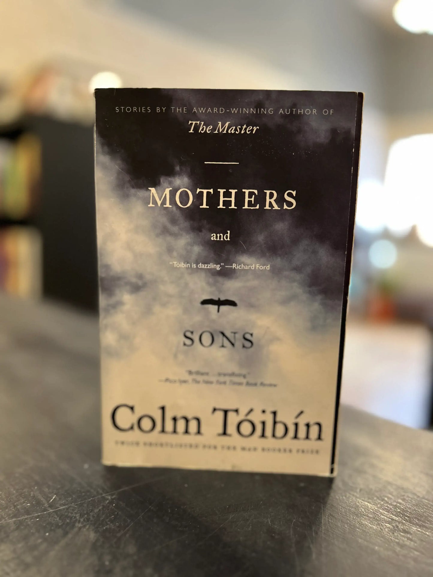 Mothers and Sons - Colm Toibin