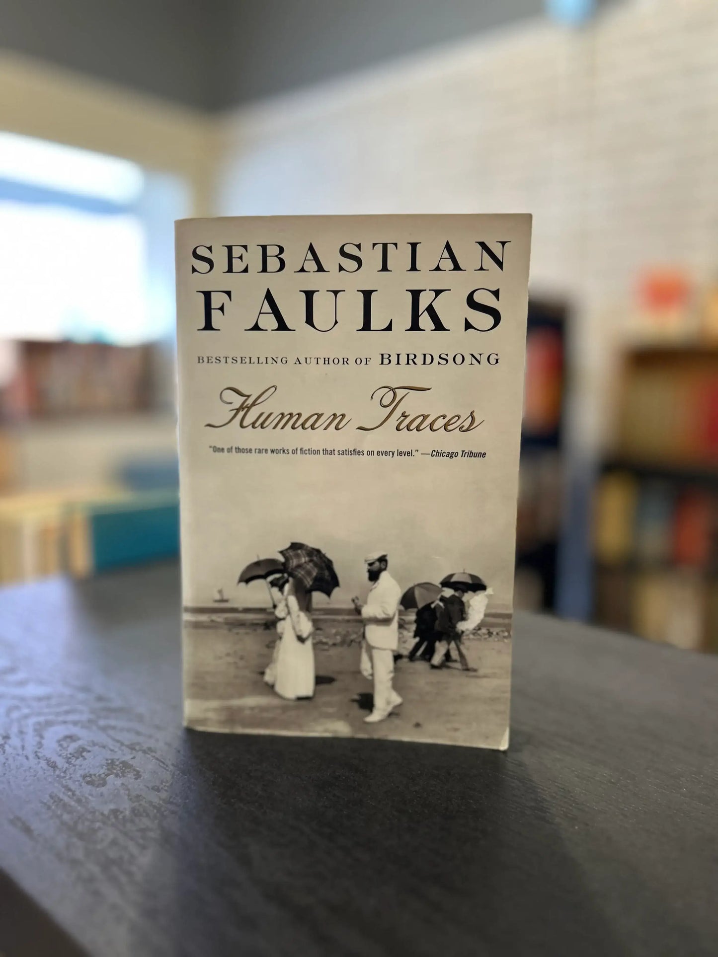 Human Traces - Sebastian Faulks