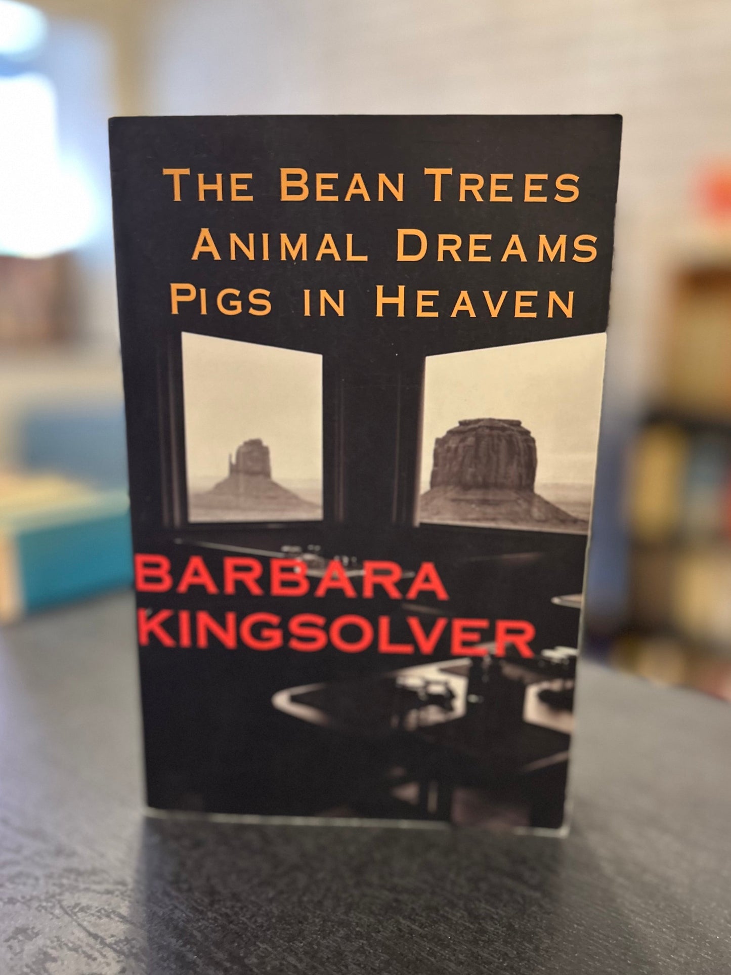 Barbara Kingsolver Omnibus