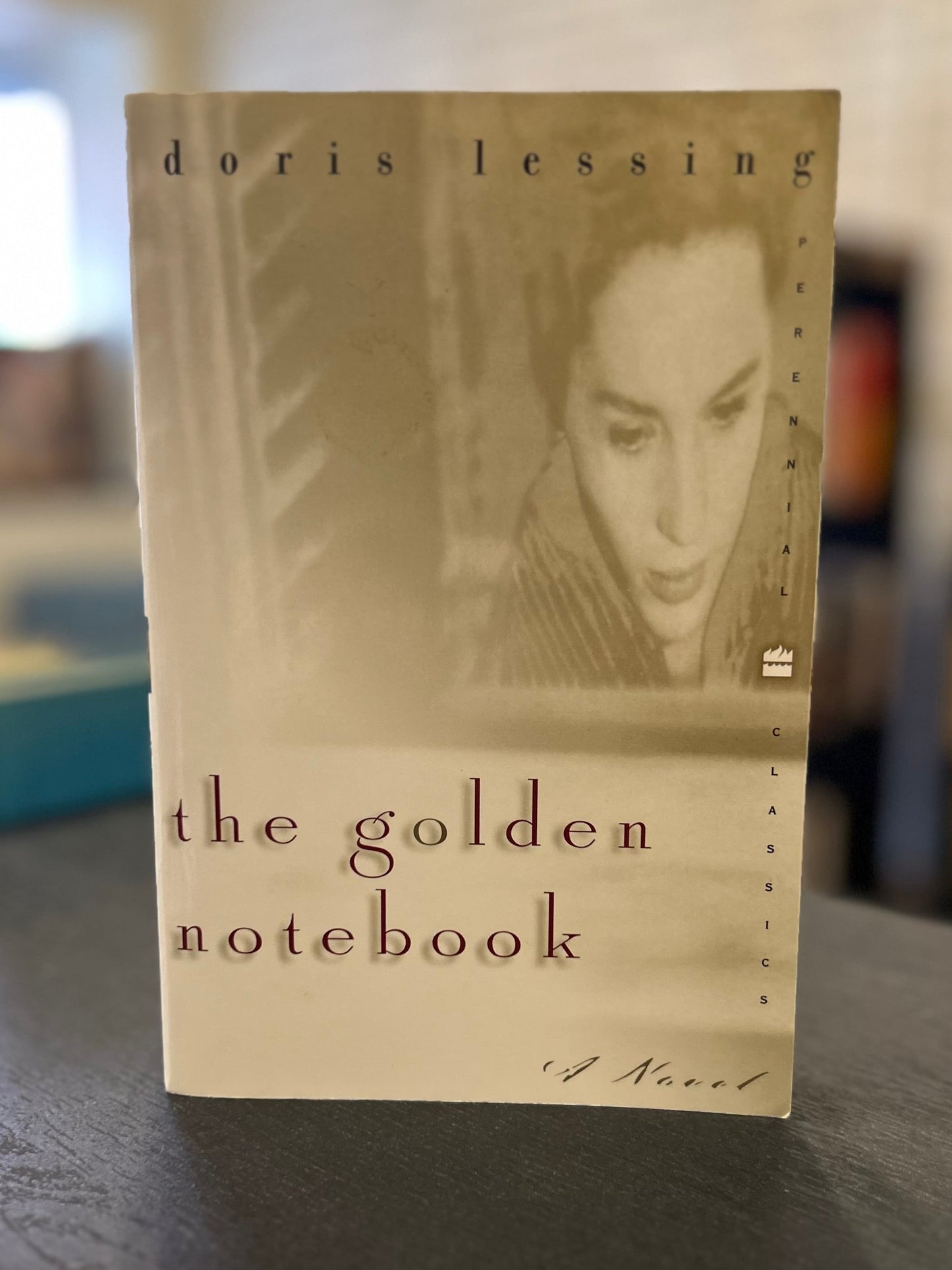 The Golden Notebook - Doris Lessing