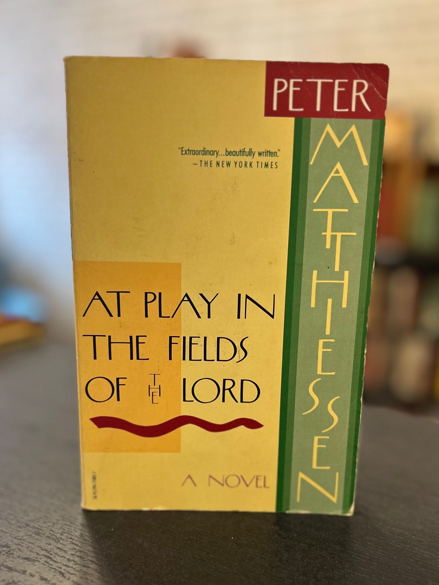At Play in the Fields of the Lord - Peter Mattheisen