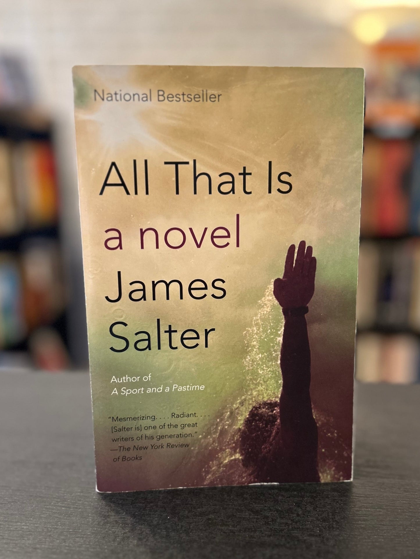 All that is - James Salter