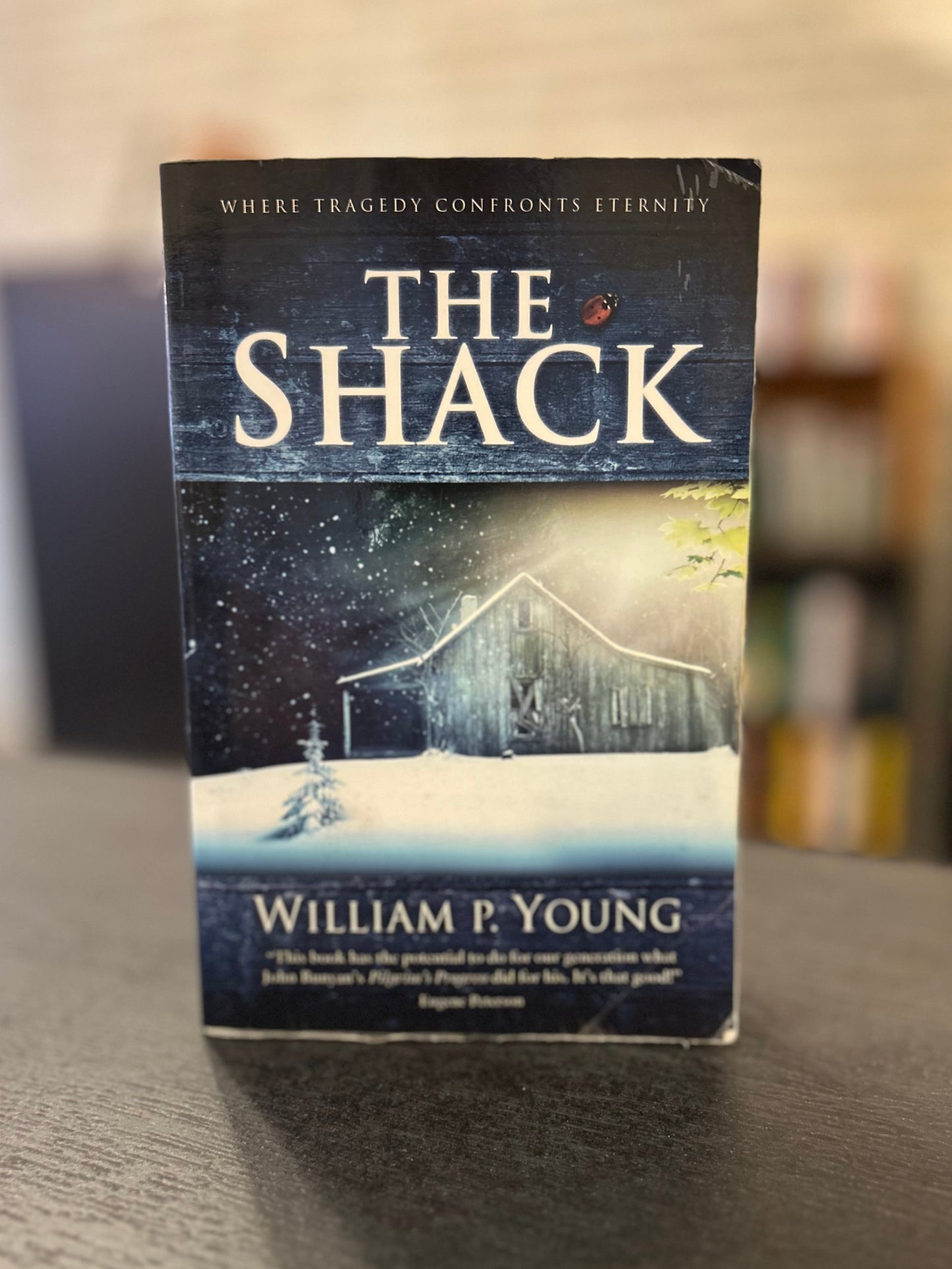 The Shack - William P Young