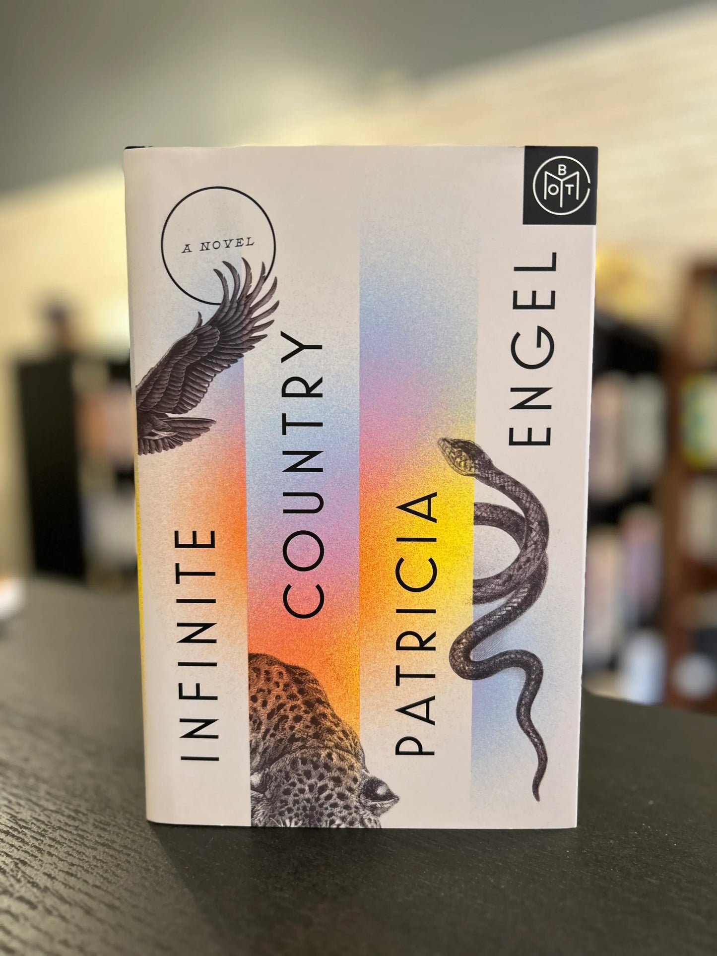 Infinite Country - Patricia Engel