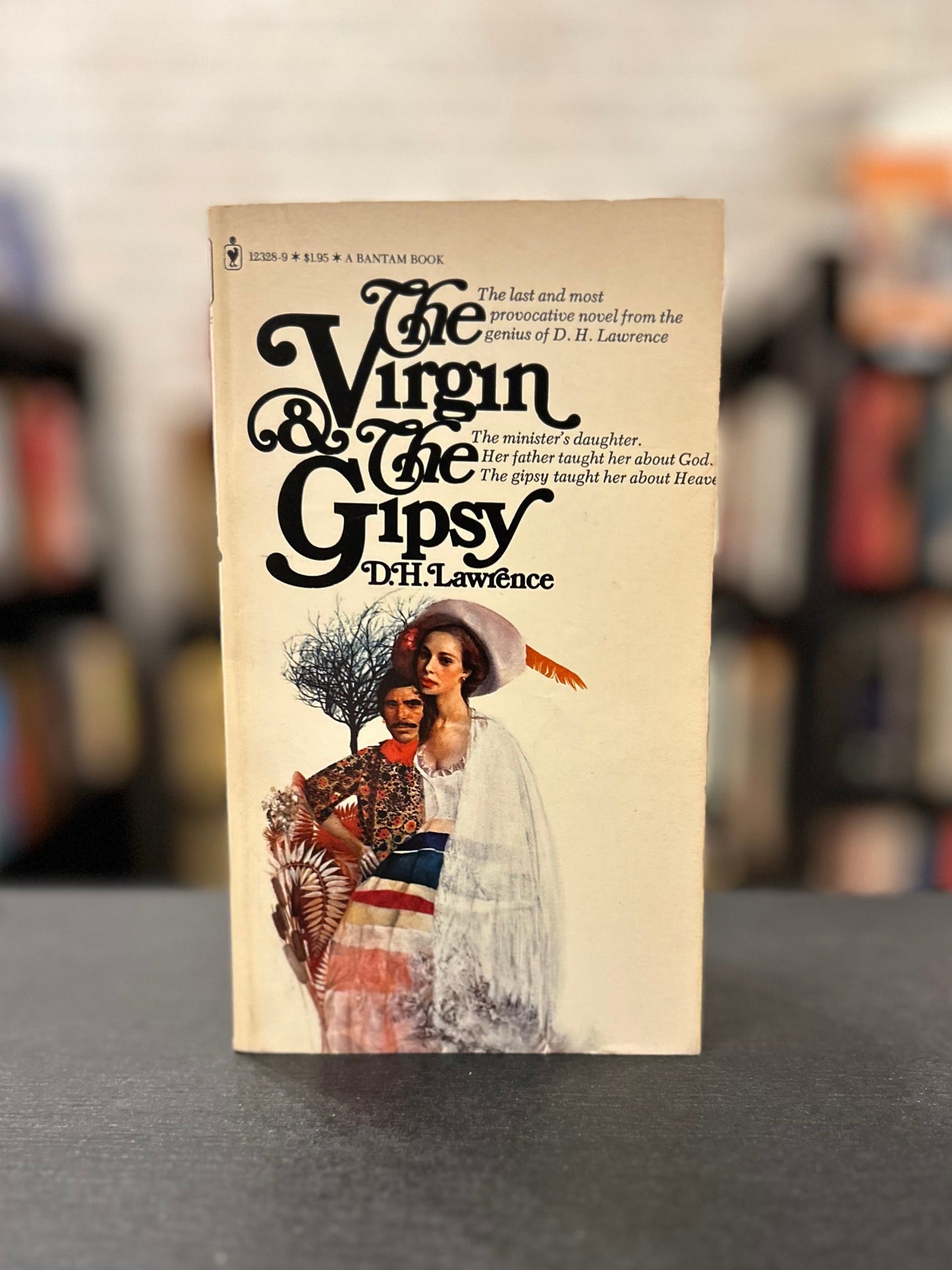 The Virgin and the Gypsy - DH. Lawrence