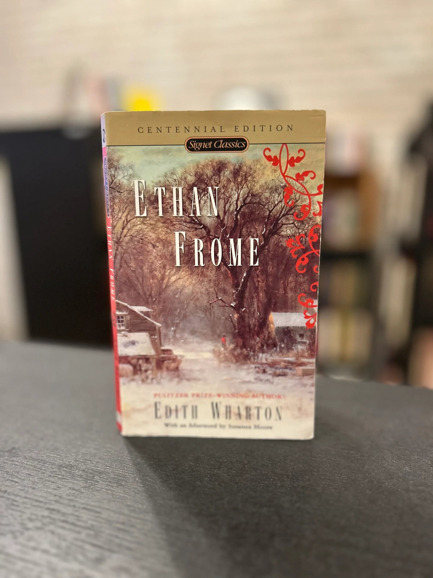 Ethan Frome - Edith Wharton