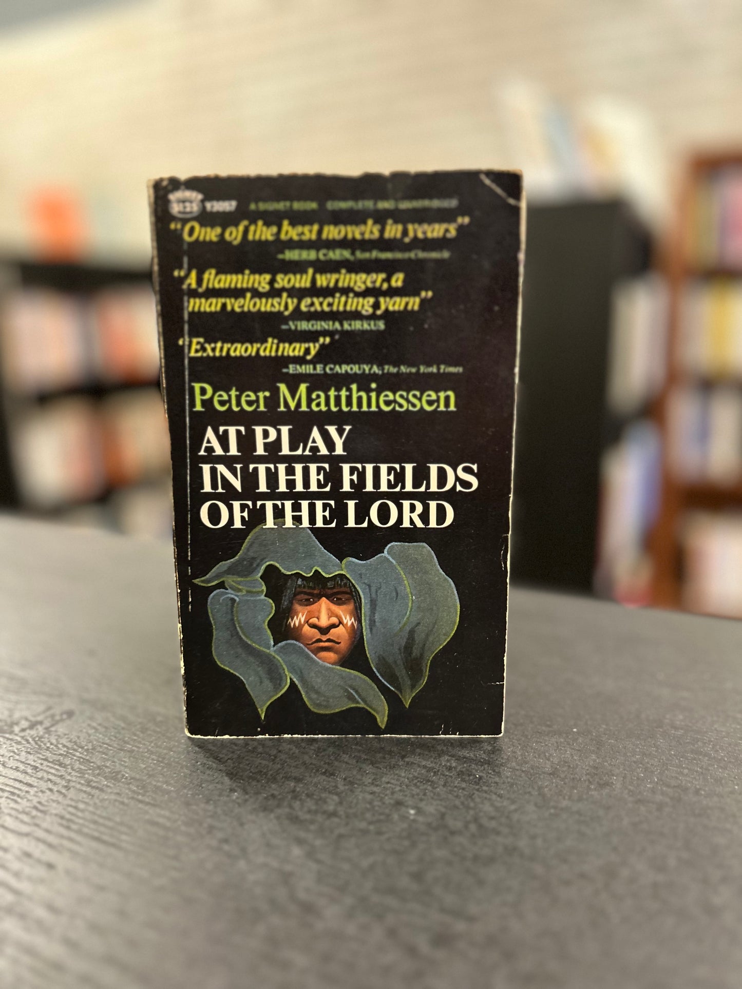 At Play in the Fields of the Lord - Peter Mattheisen