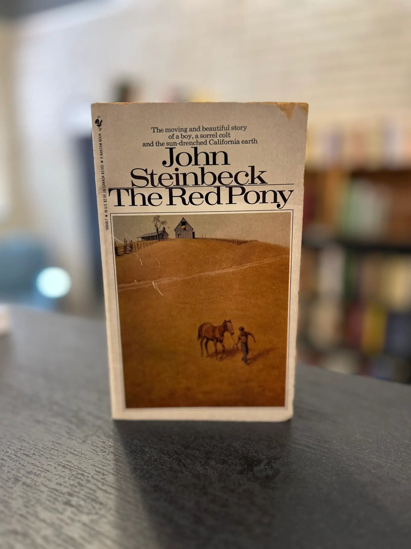 The Red Pony - John Steinbeck