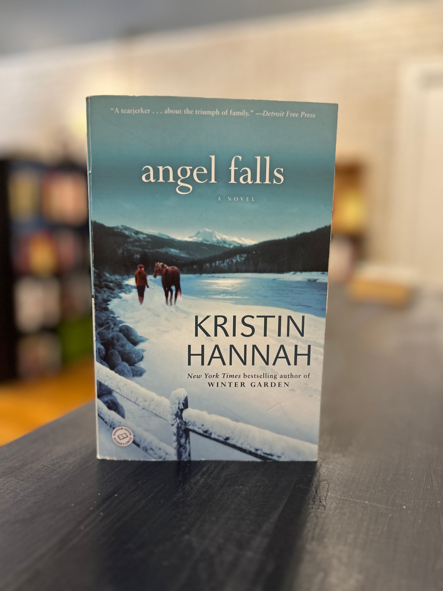 Angel Falls - Kristin Hannah