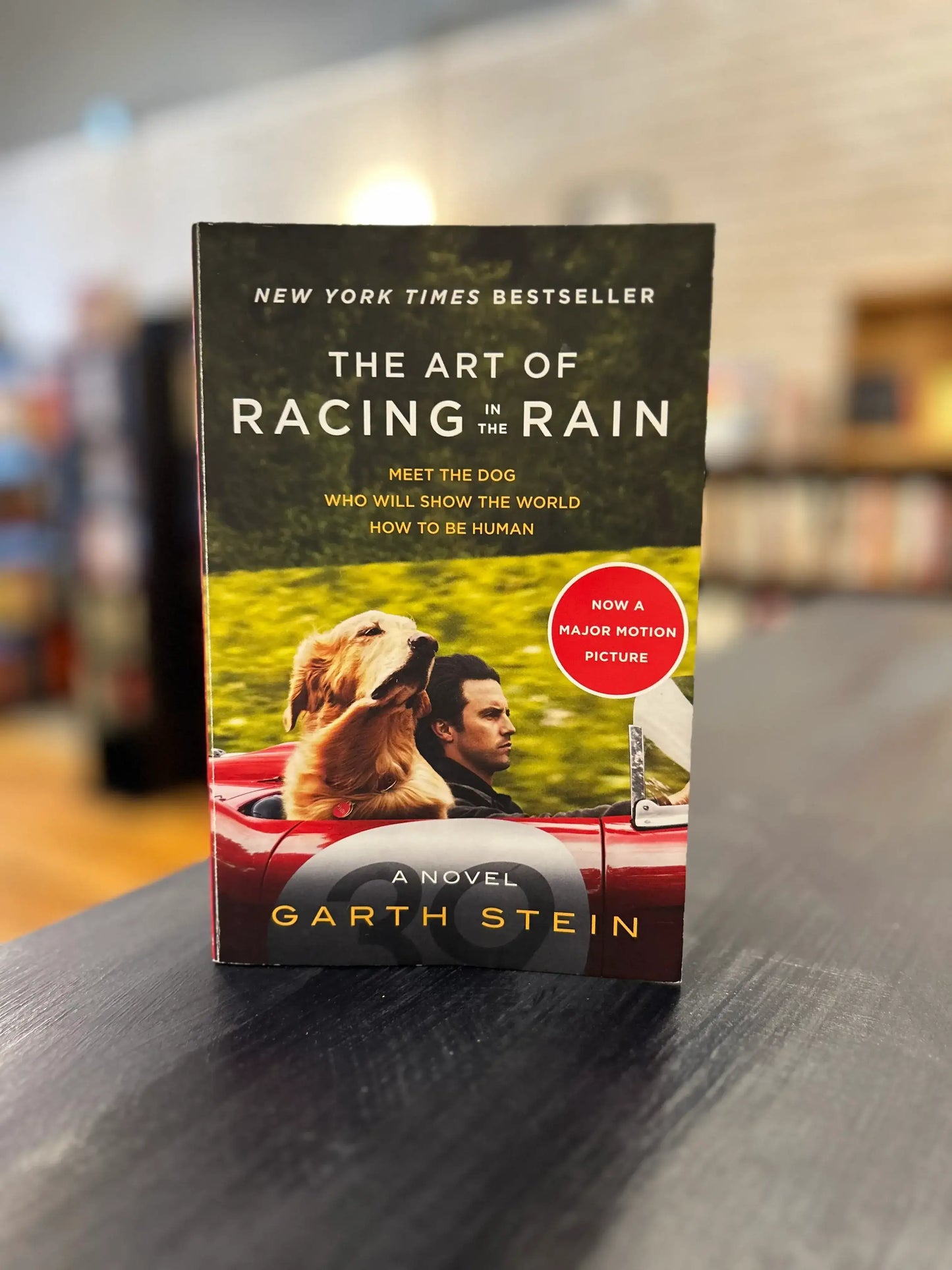 The Art of Racing In The Rain- Garth Stein