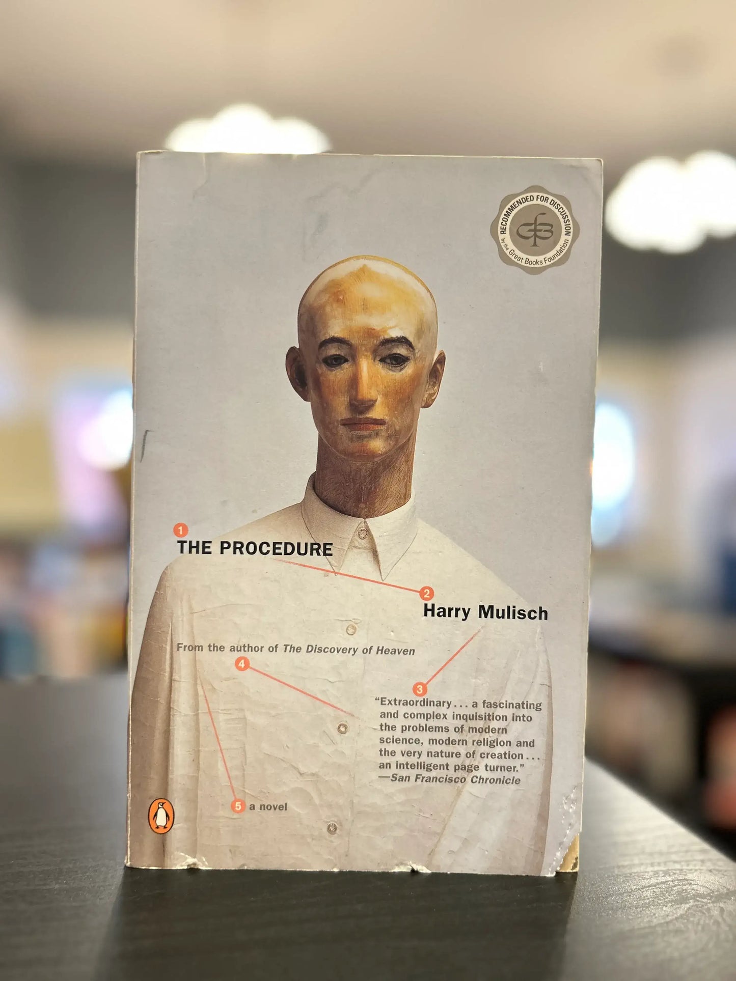 The Procedure - Harry Mulisch