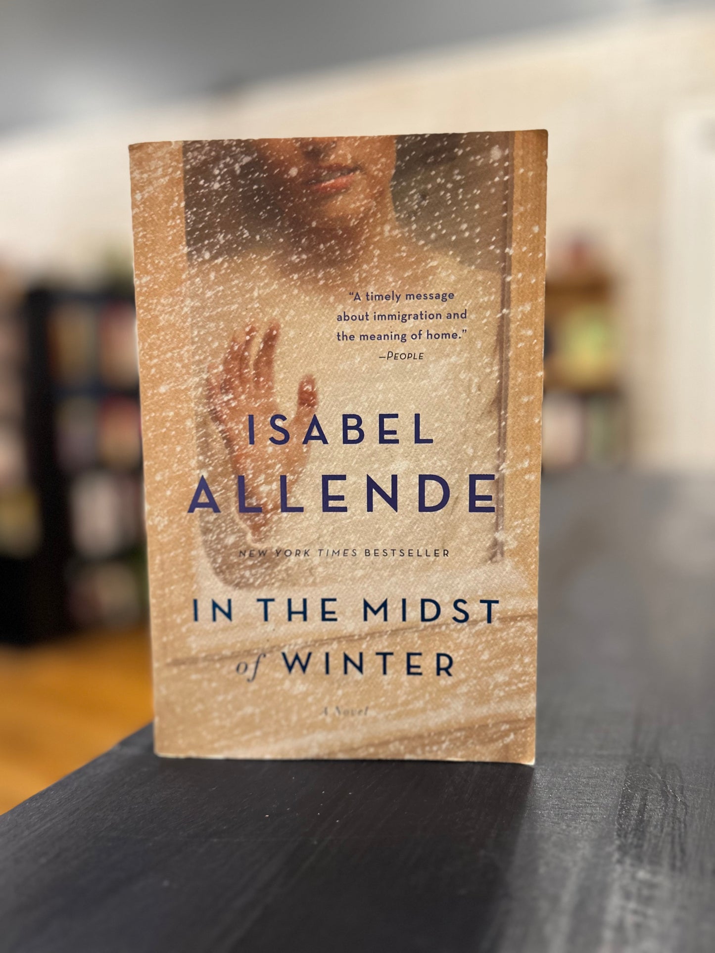 In The Midst of Winter - Isabel Allende