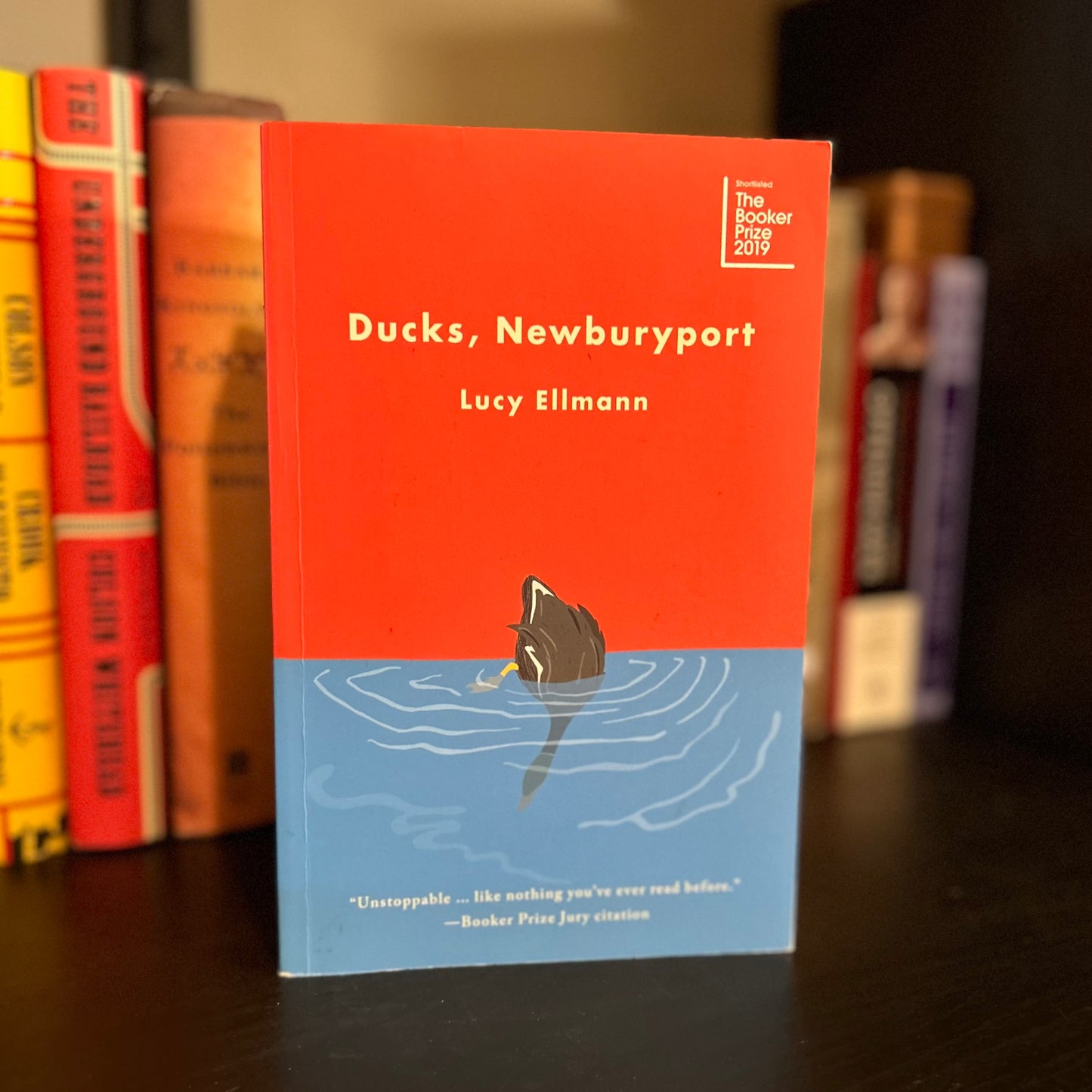 Ducks, Newburyport - Lucy Ellmann