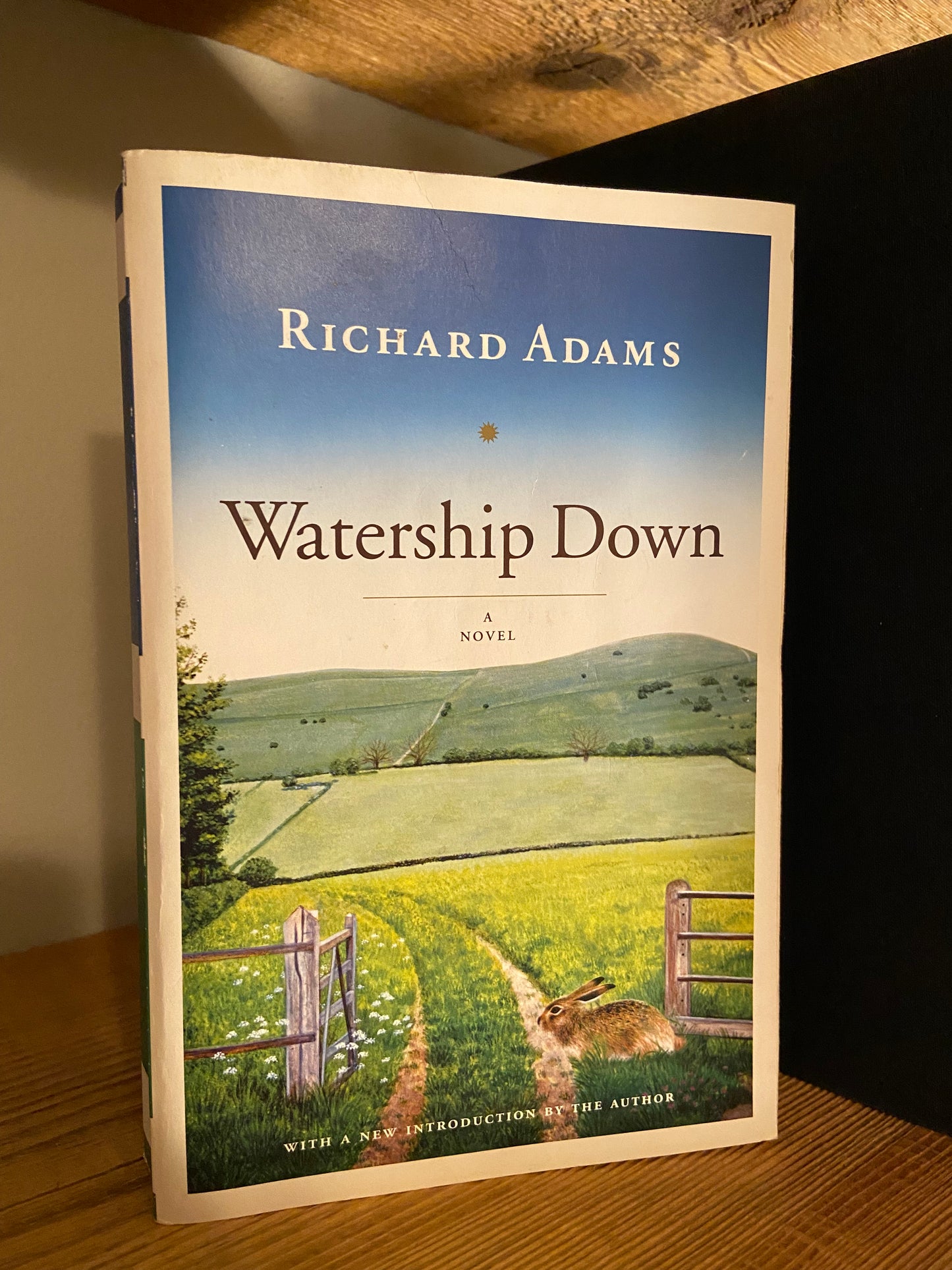 Watership Down - Richard Adams