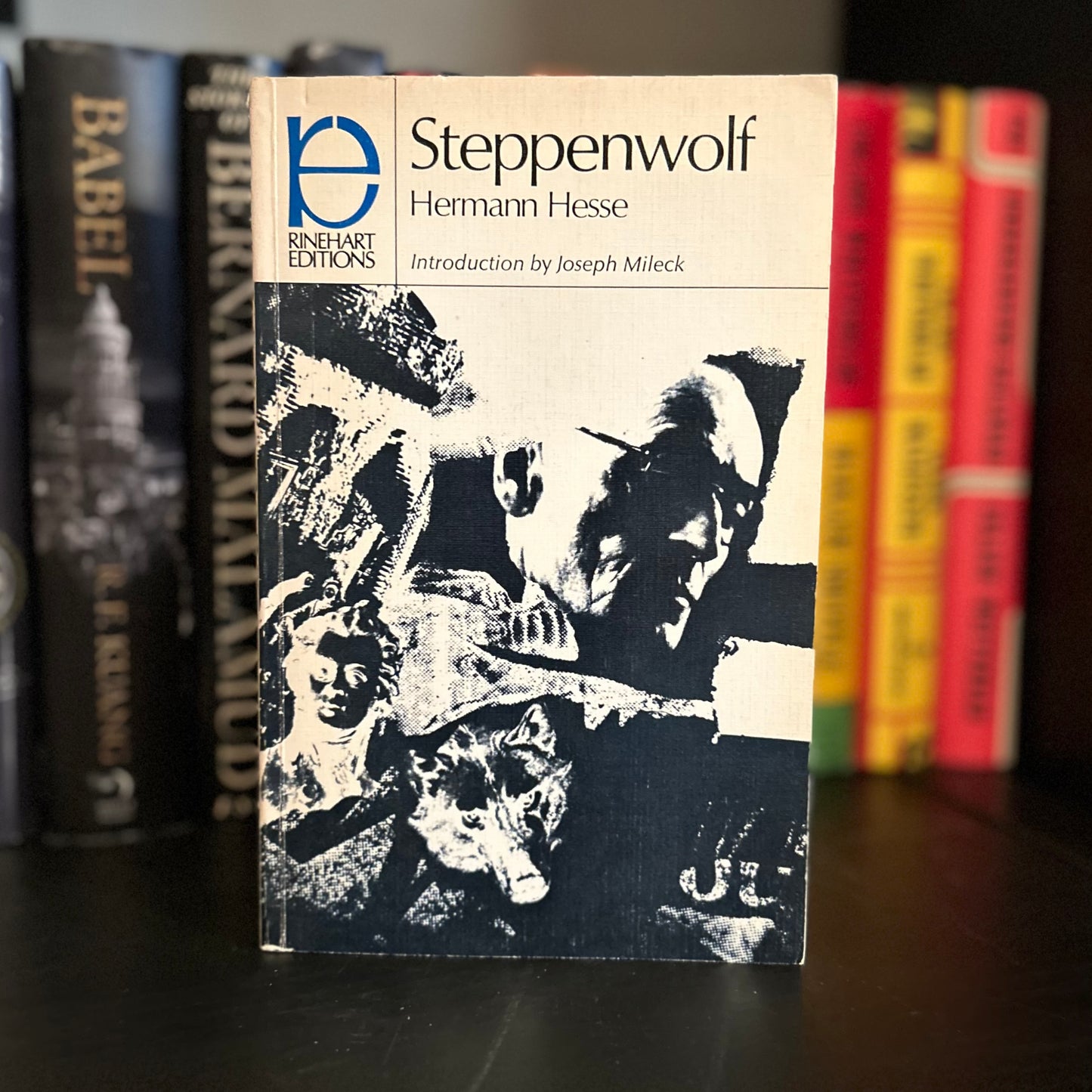 Steppenwolf - Hermann Hesse - vintage