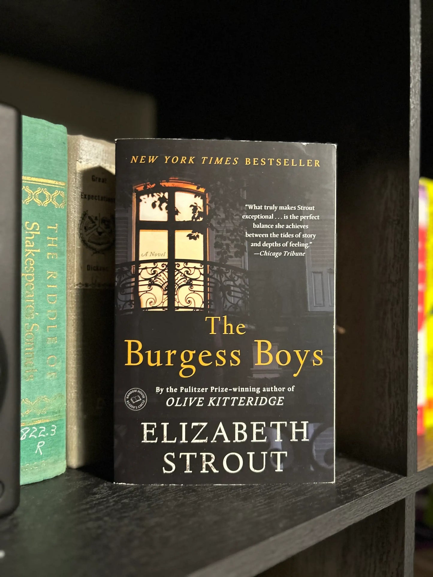 The Burgess Boys - Elizabeth Strout
