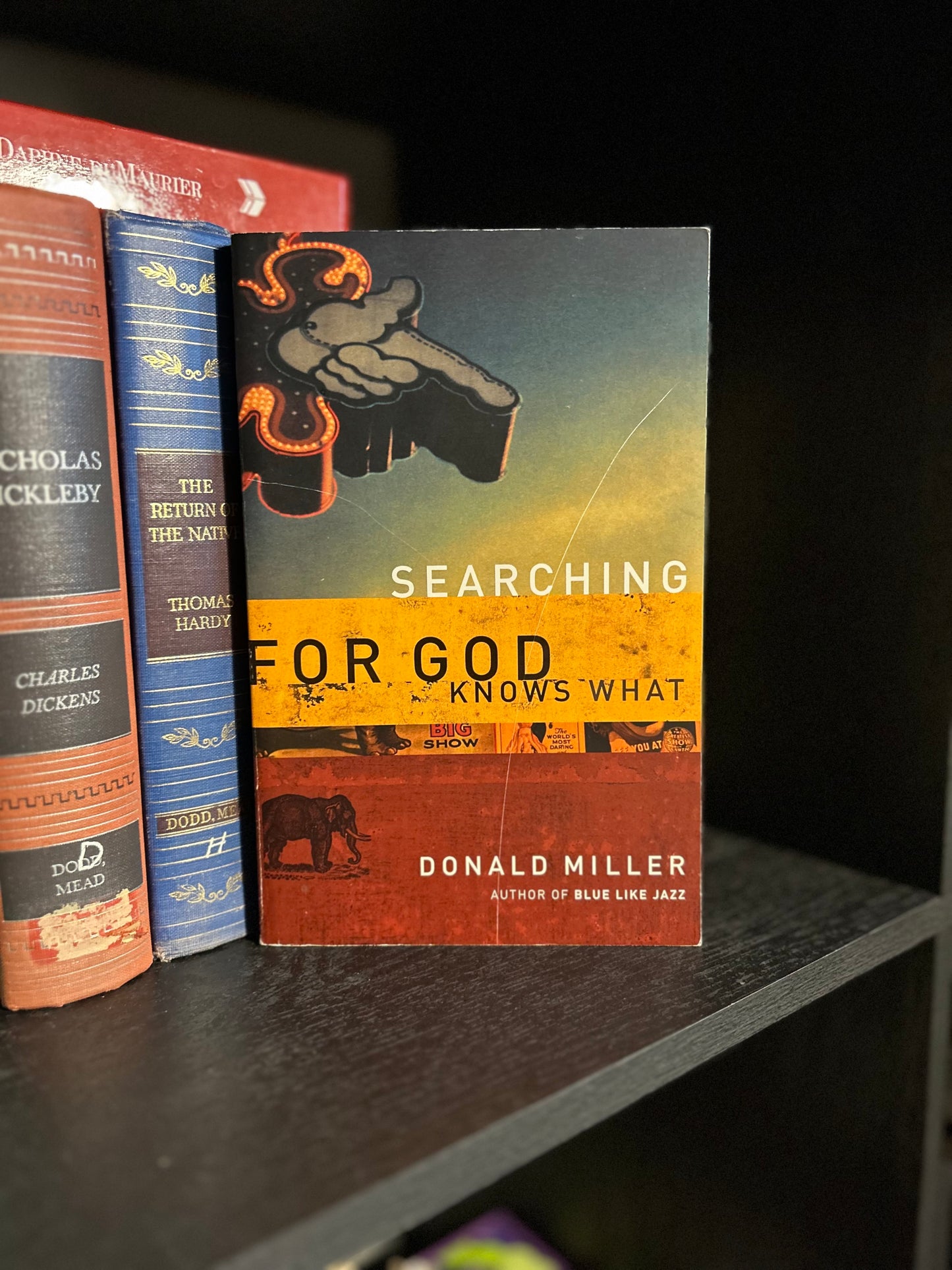 Searching for God knows What - Donald Miller