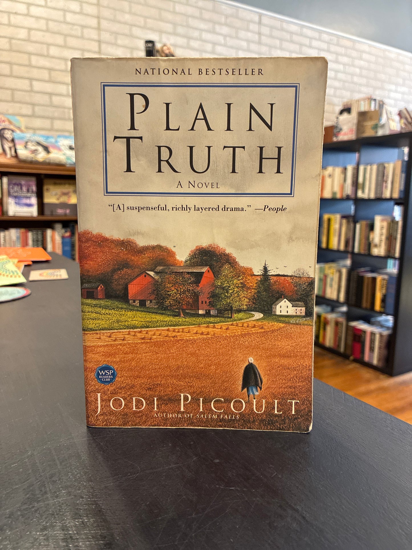 Plain Truth- Jodi Picoult
