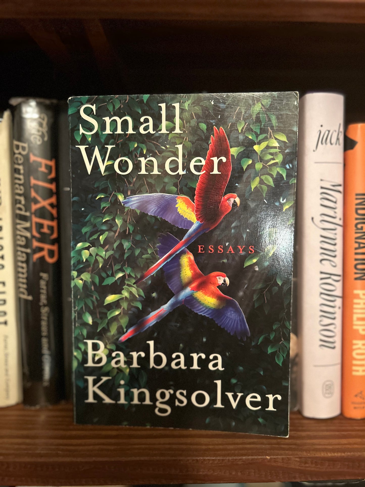 Small Wonders - Barbara Kingsolver