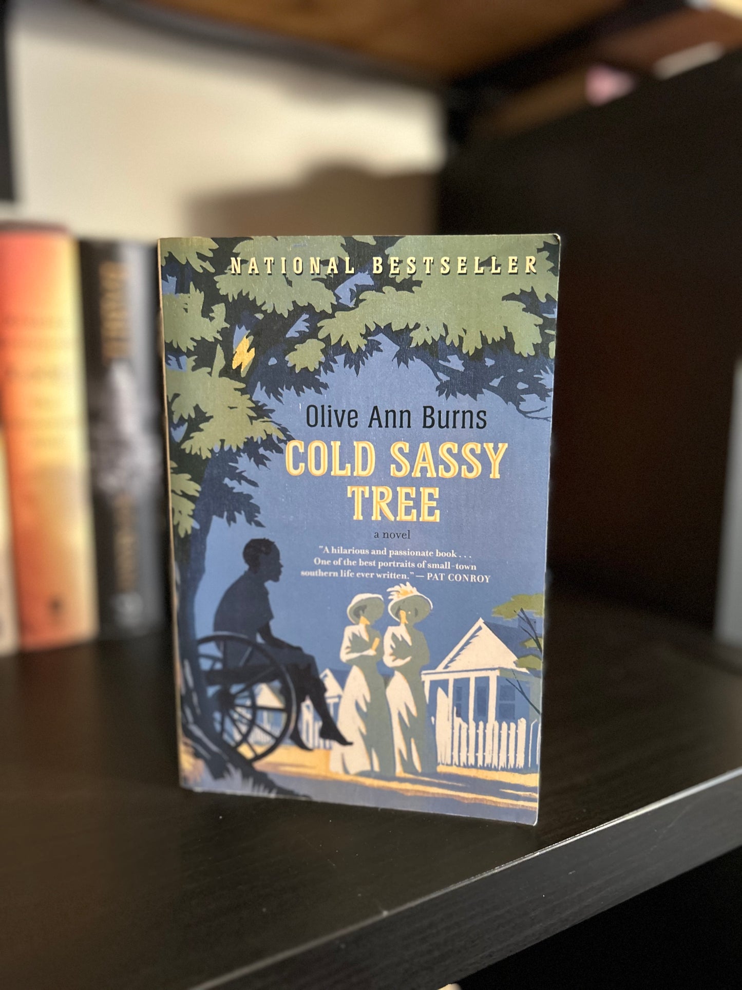 Cold Sassy Tree - Olive Ann Burns