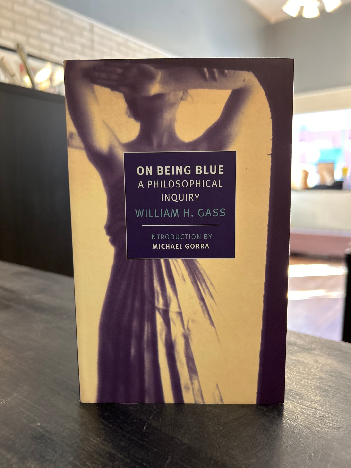 On Being Blue: a philosophical inquiry - William Gass