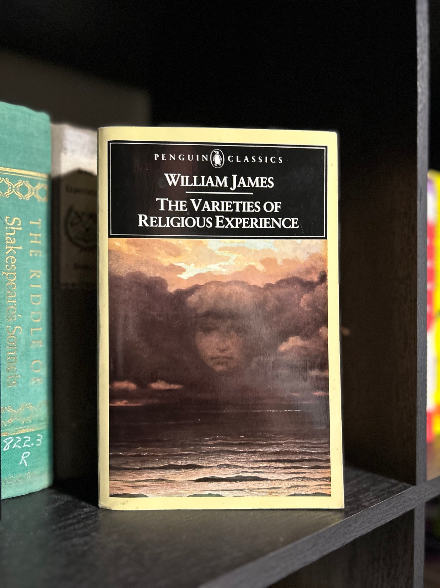 The variety of Religious Experiences - William James