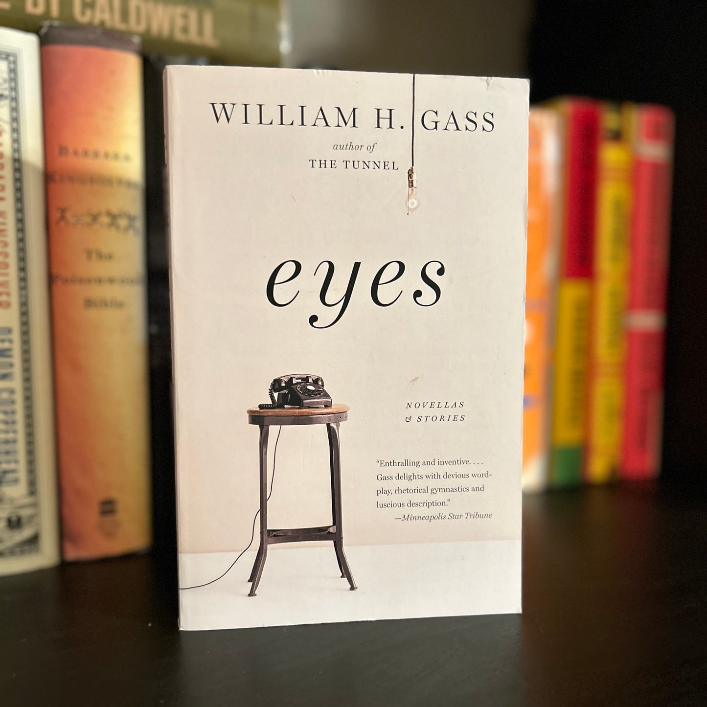 Eyes - William H Gass
