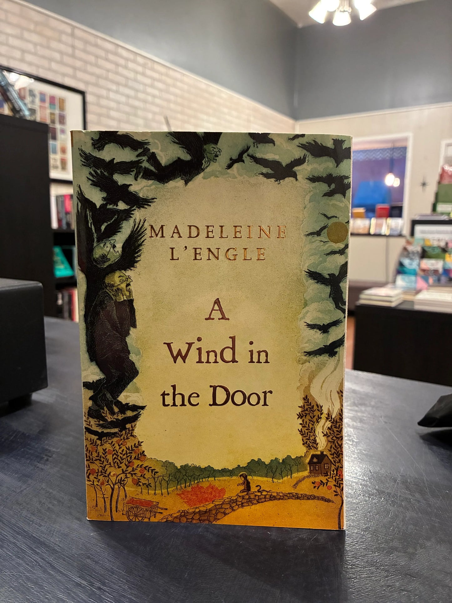 Madeleine L'Engle - Five Book Set - Time Quintet - paperback