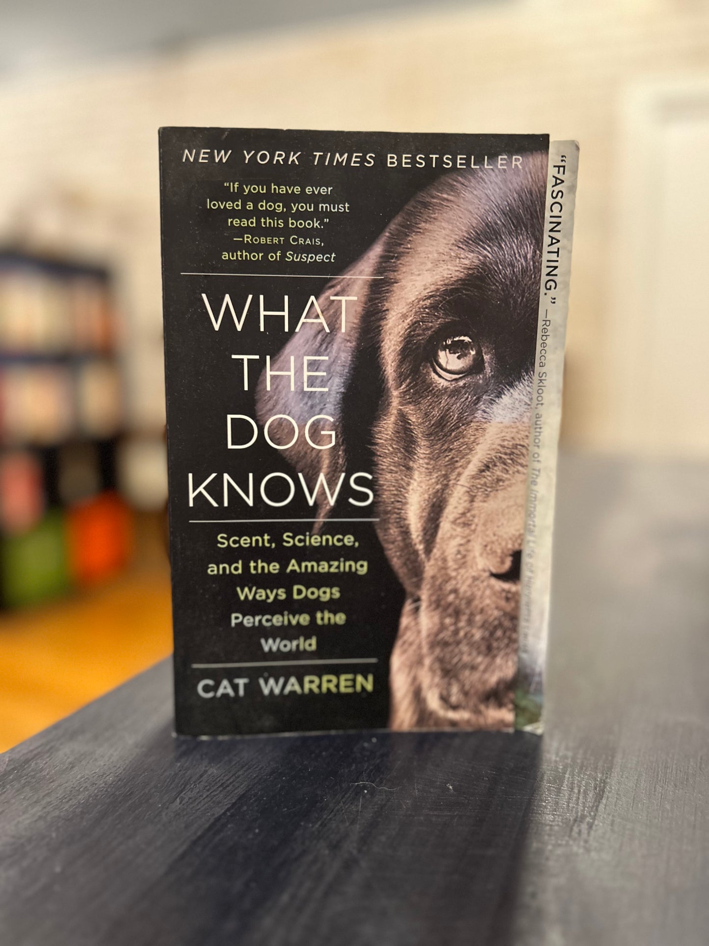 What the Dog Knows - Cat Warren