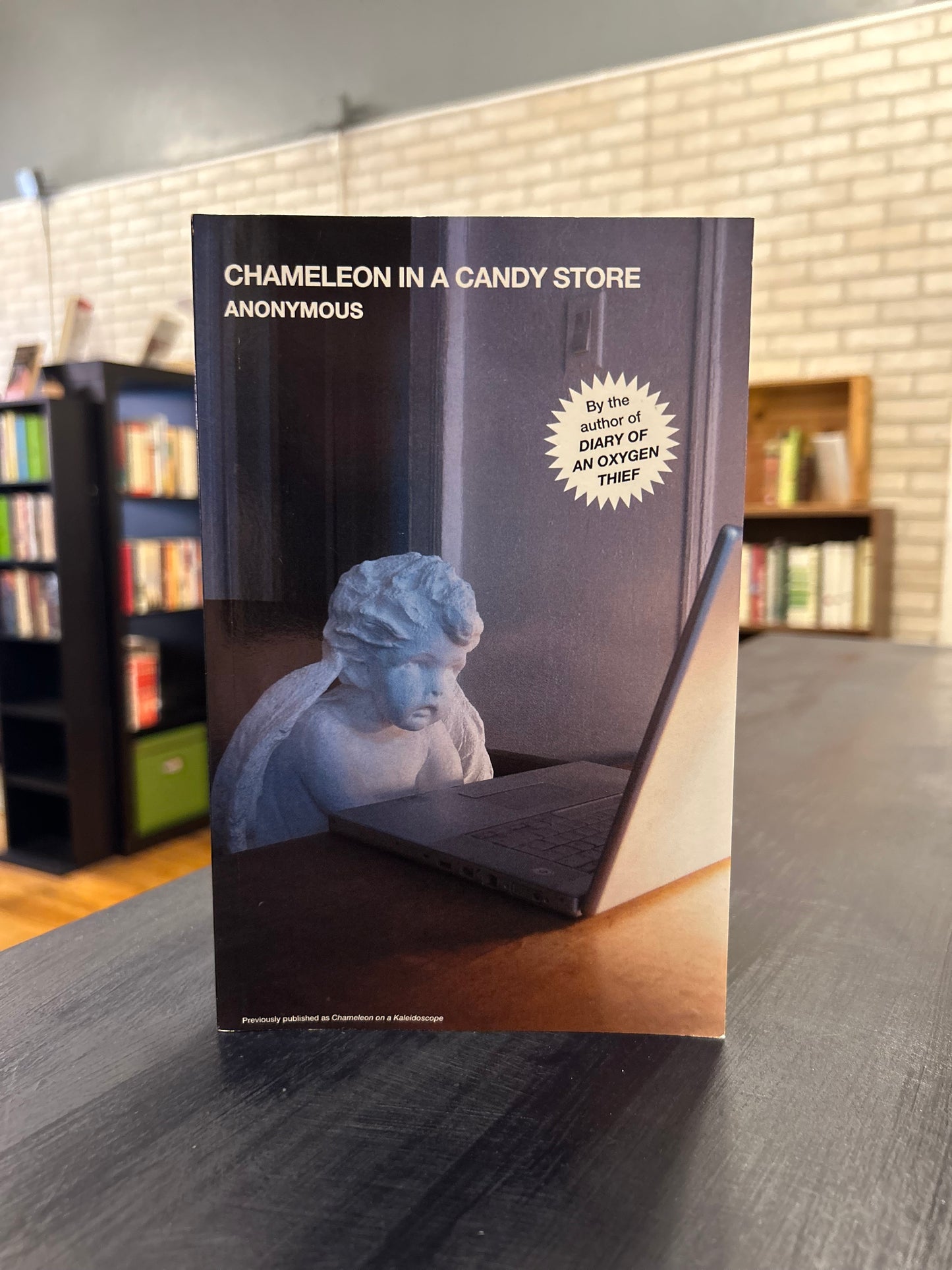 Chameleon in a Candy Store - Anonymous