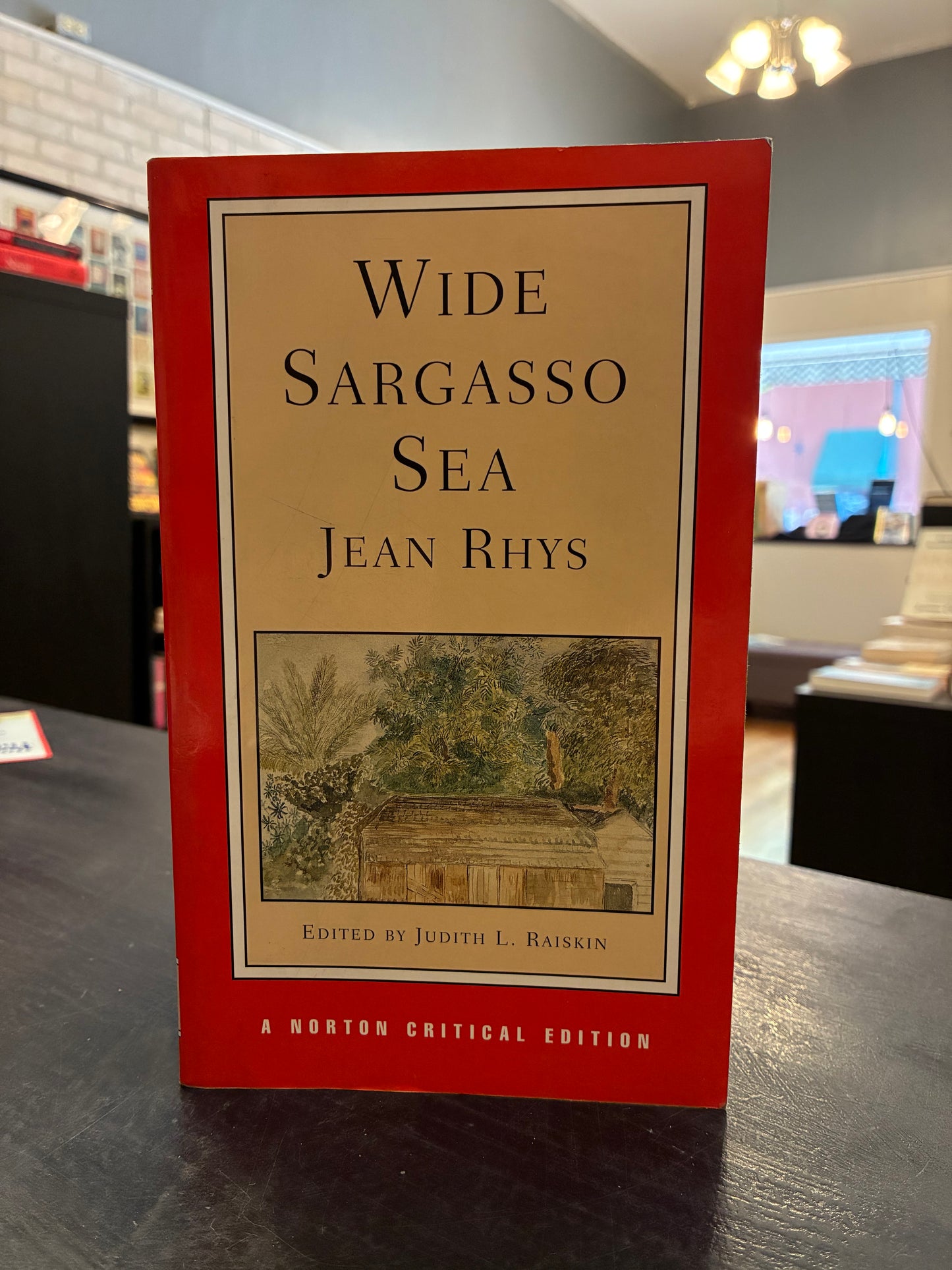 Wide Sargasso Sea -  Jean Rhys - NCE