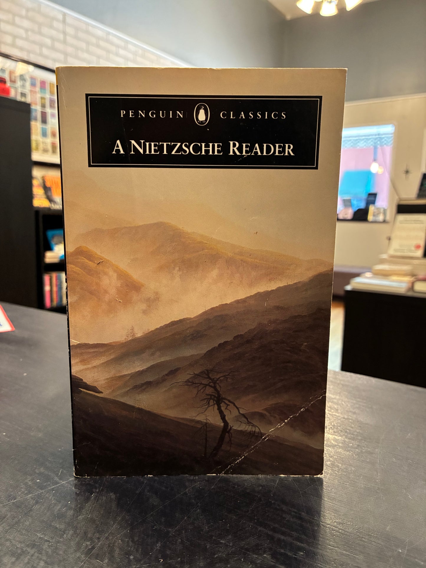 A Nietzsche Reader - Penguin