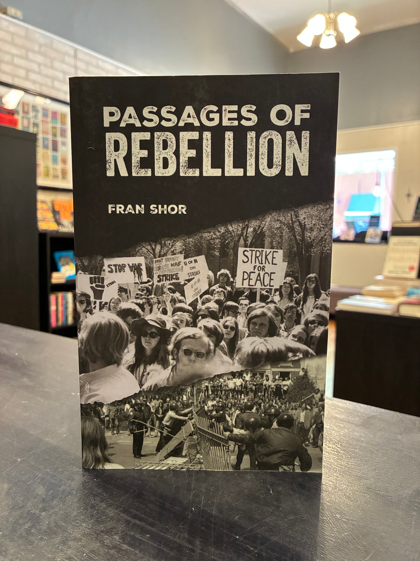 Passages of Rebellion - Fran Shor