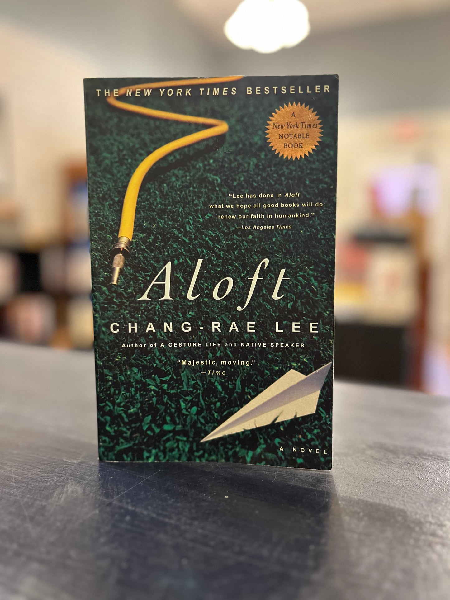 Aloft - Chang-Rae Lee