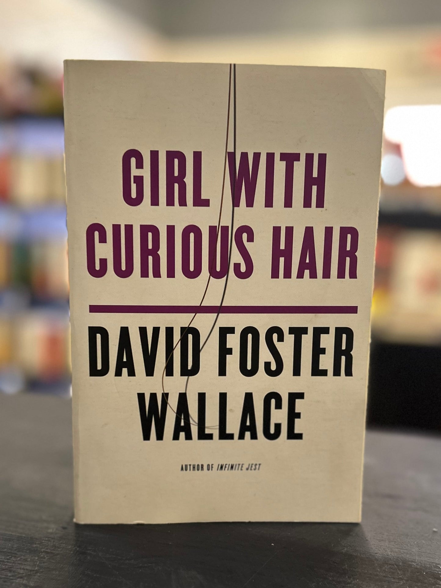 Girl With the Curious Hair - David Foster Wallace