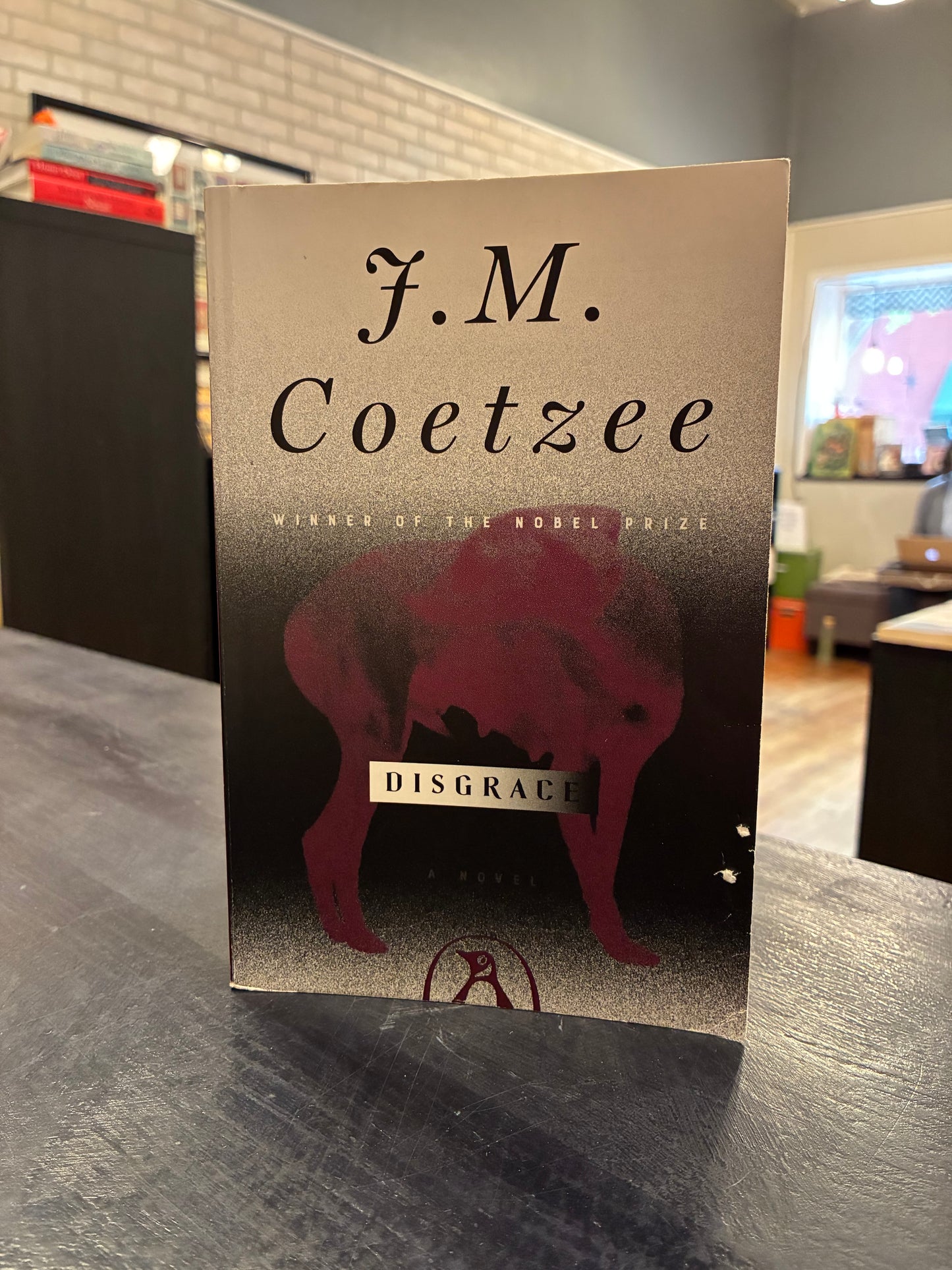 Disgrace - J.M. Coetzee - purple cover